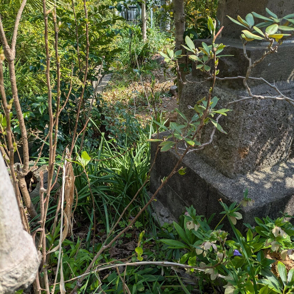 ブログ画像