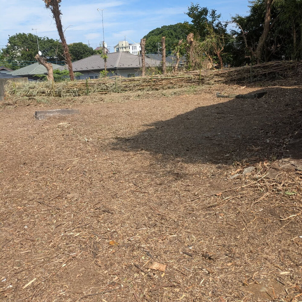 ブログ画像