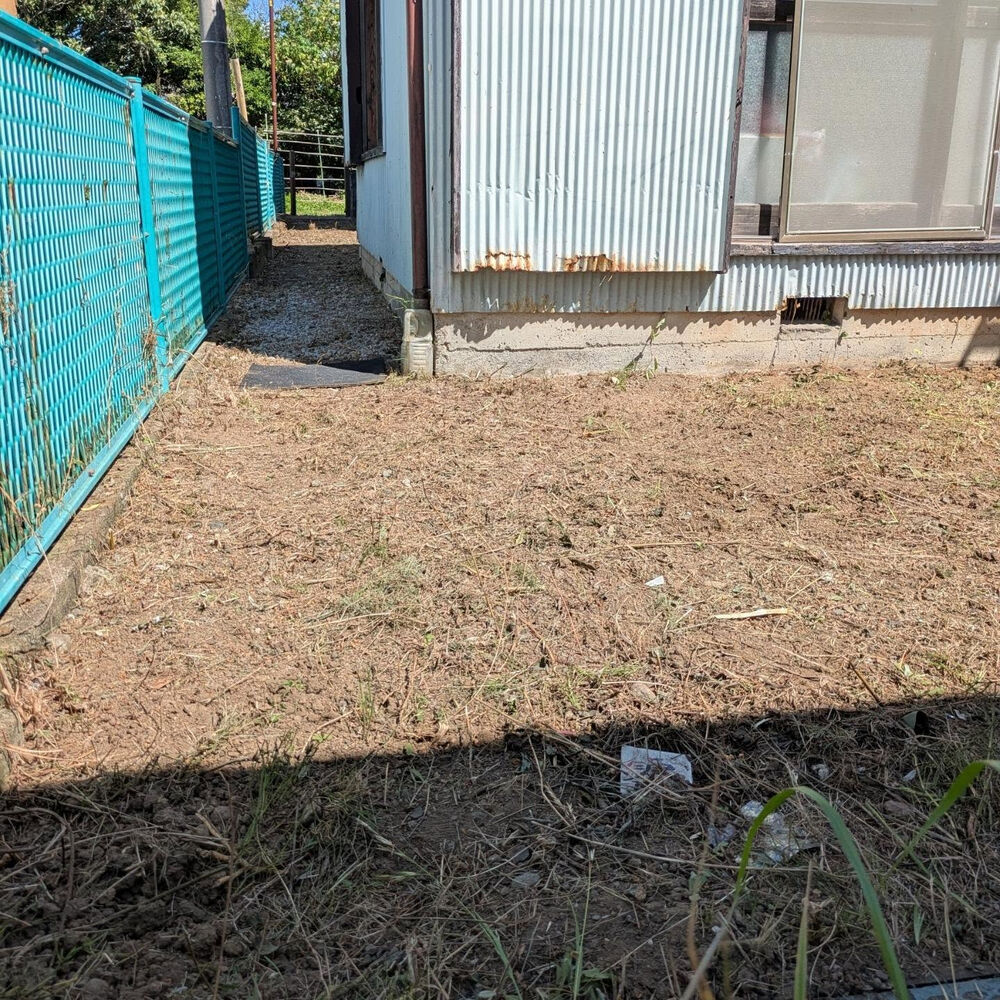 ブログ画像