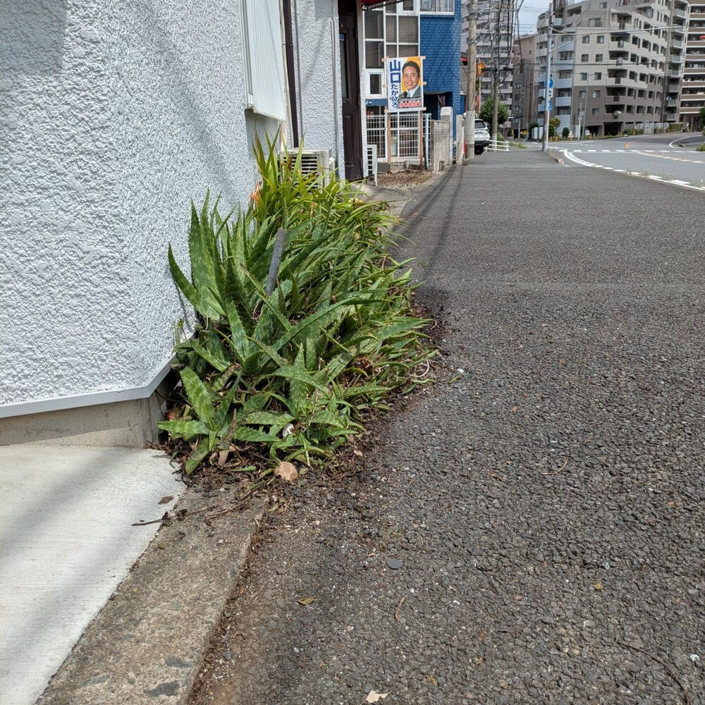 ブログ画像