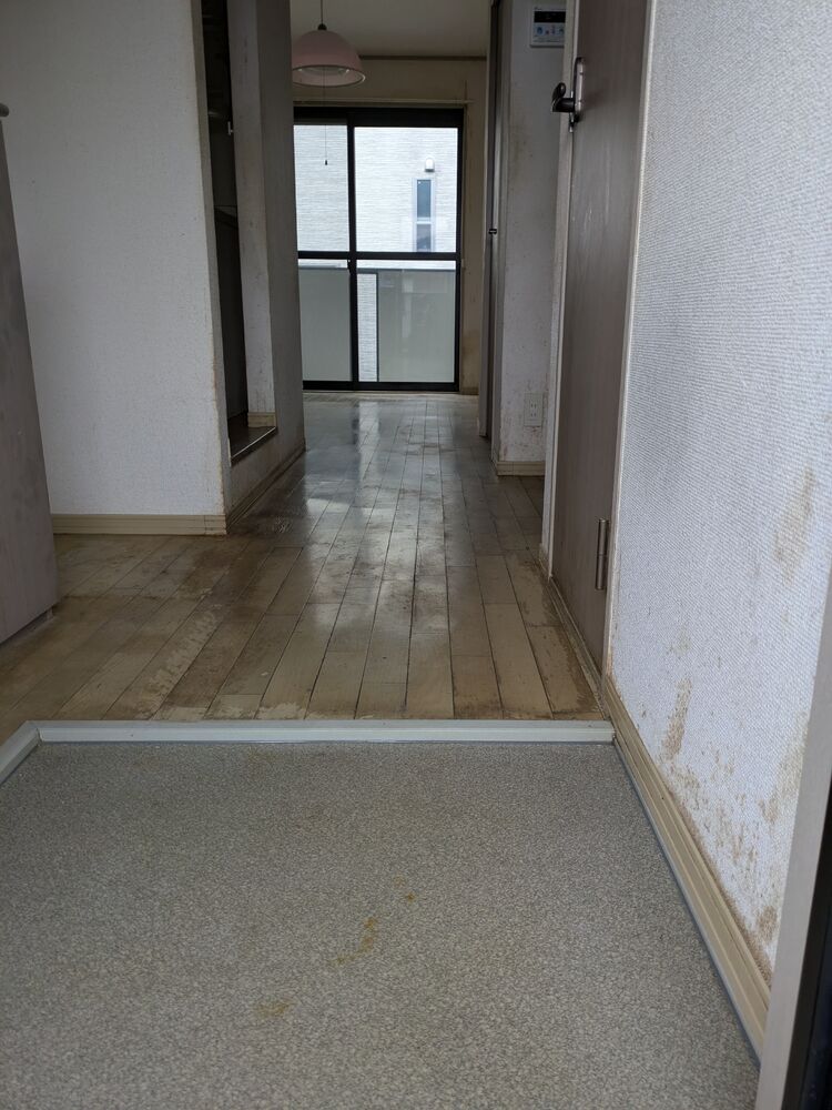 画像7022